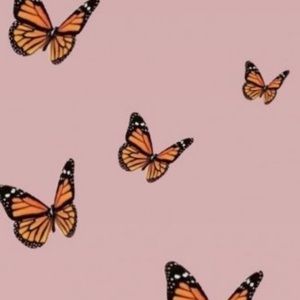 Meet your Posher, Alaina